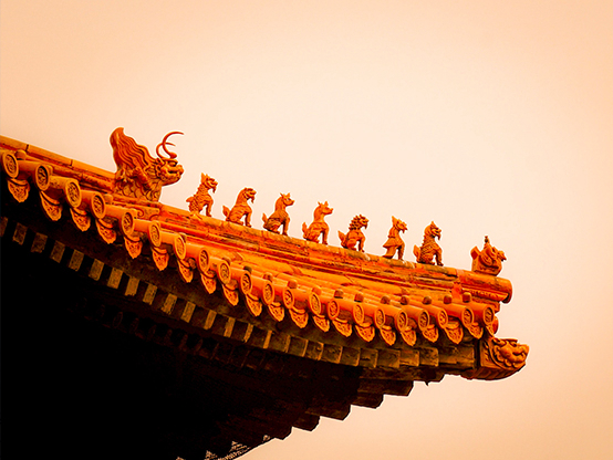 公司戰(zhàn)略定位于服務全國商企及供應鏈。